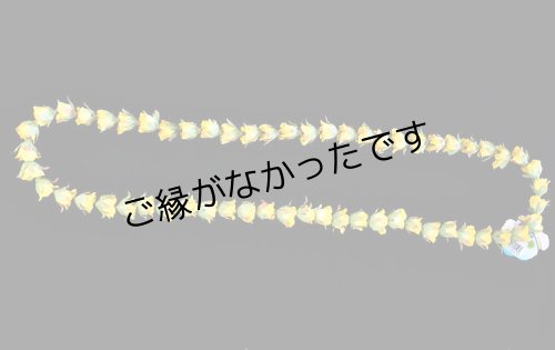 画像1: ローズバットロングレイ(イエロー）（現品限り）